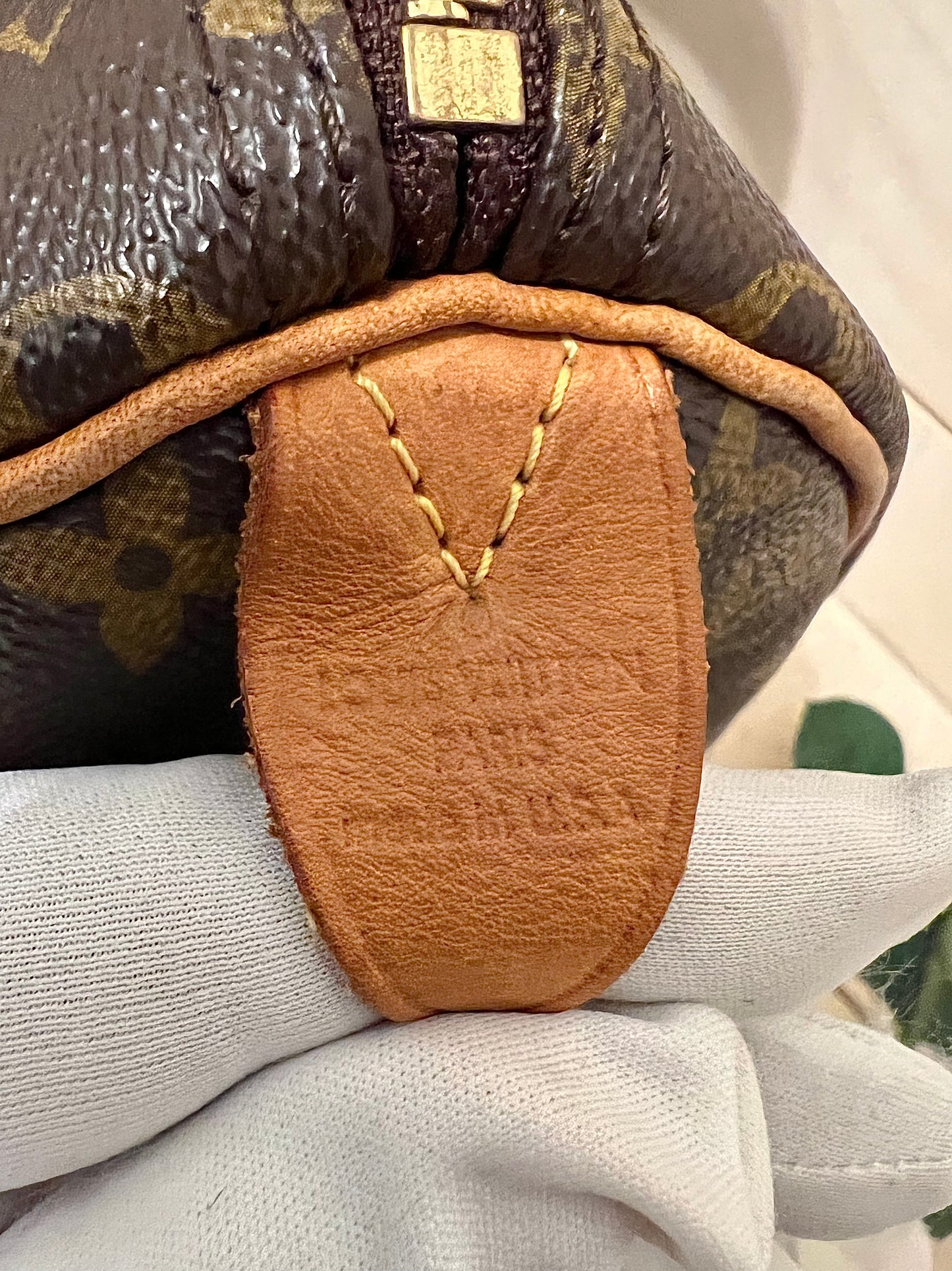 Louis Vuitton Speedy 30 Monogram